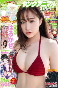 中国最强音第2期