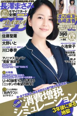 打黑电视剧免费观看